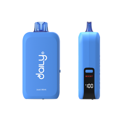 Drip'n Daily by Envi – Just Mint | 100K Puffs | 30mL